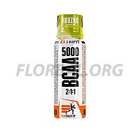 Extrifit BCAA 5000 2:1:1 Shot 90 ml